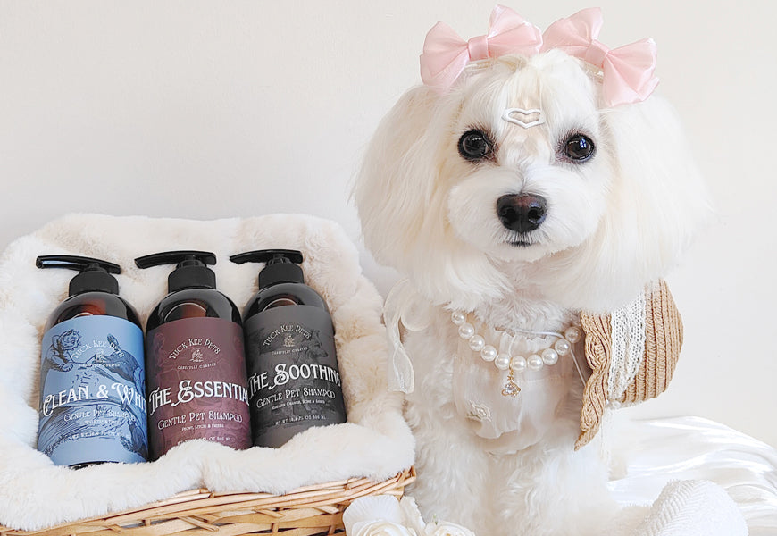 Pet Shampoos & Conditioners