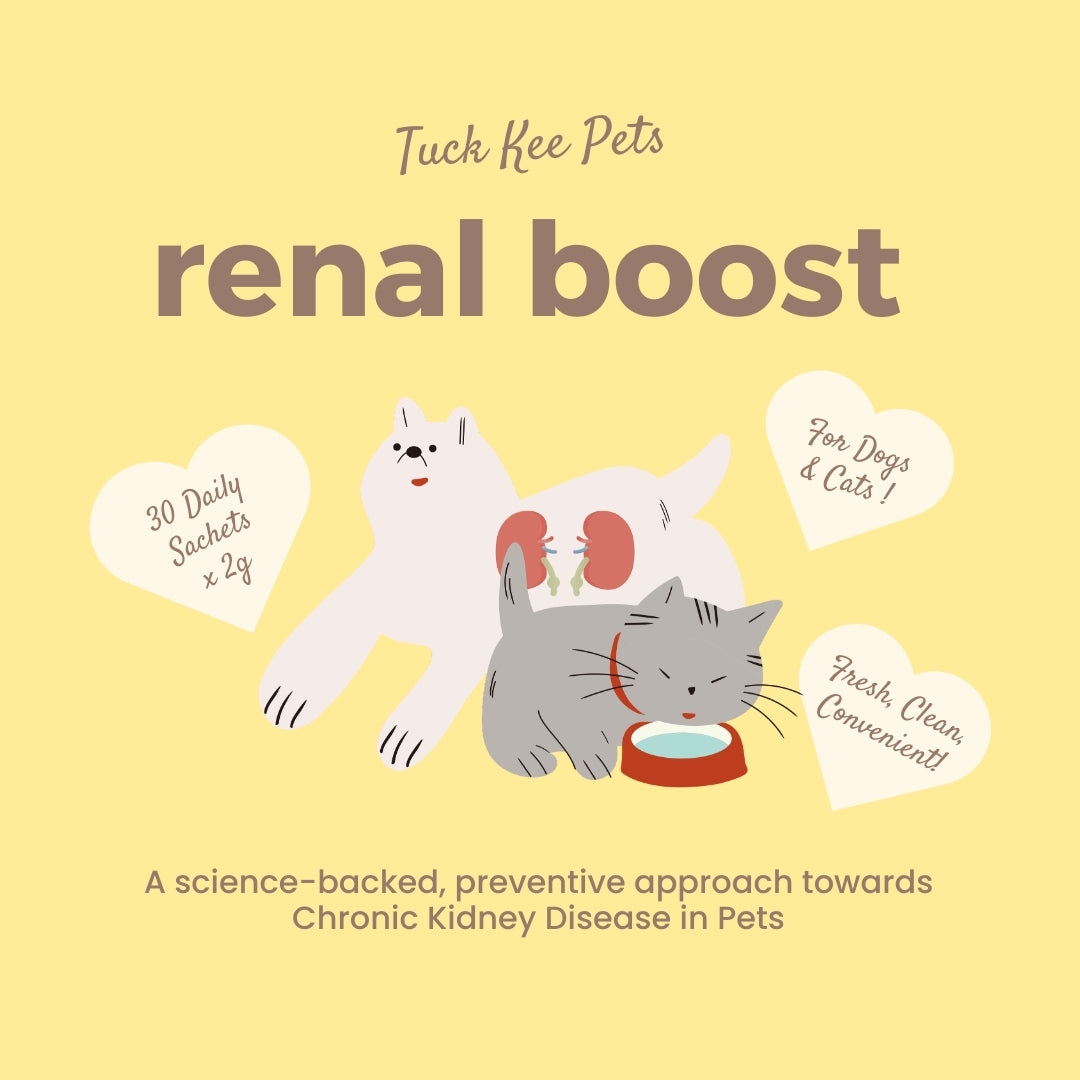 Tuck Kee Pets Renal Boost Kidney Support 60g Box of 30 Sachets
