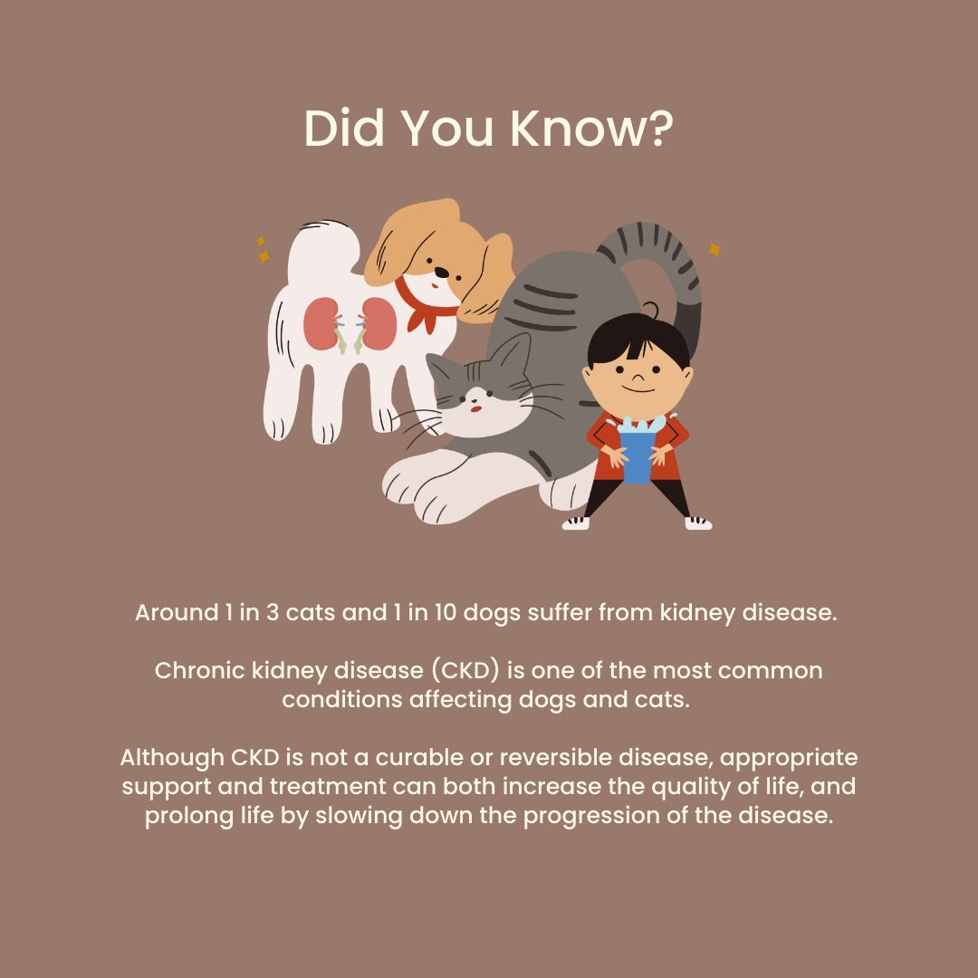 Tuck Kee Pets Renal Boost Kidney Support 60g Box of 30 Sachets