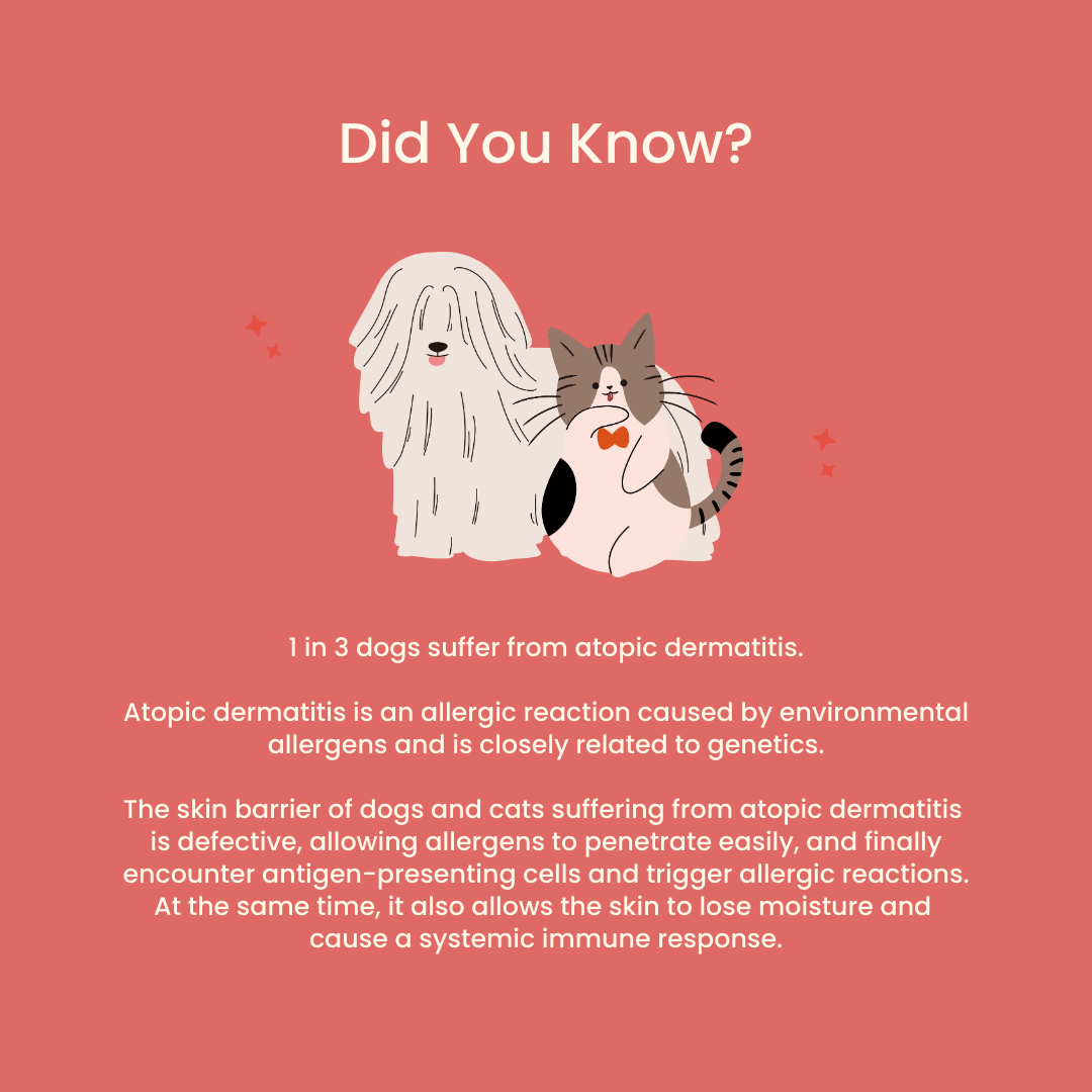 Tuck Kee Pets Glow Up Skin & Coat Supplement With Anti-Allergy Properties 60g Box of 30 Sachets