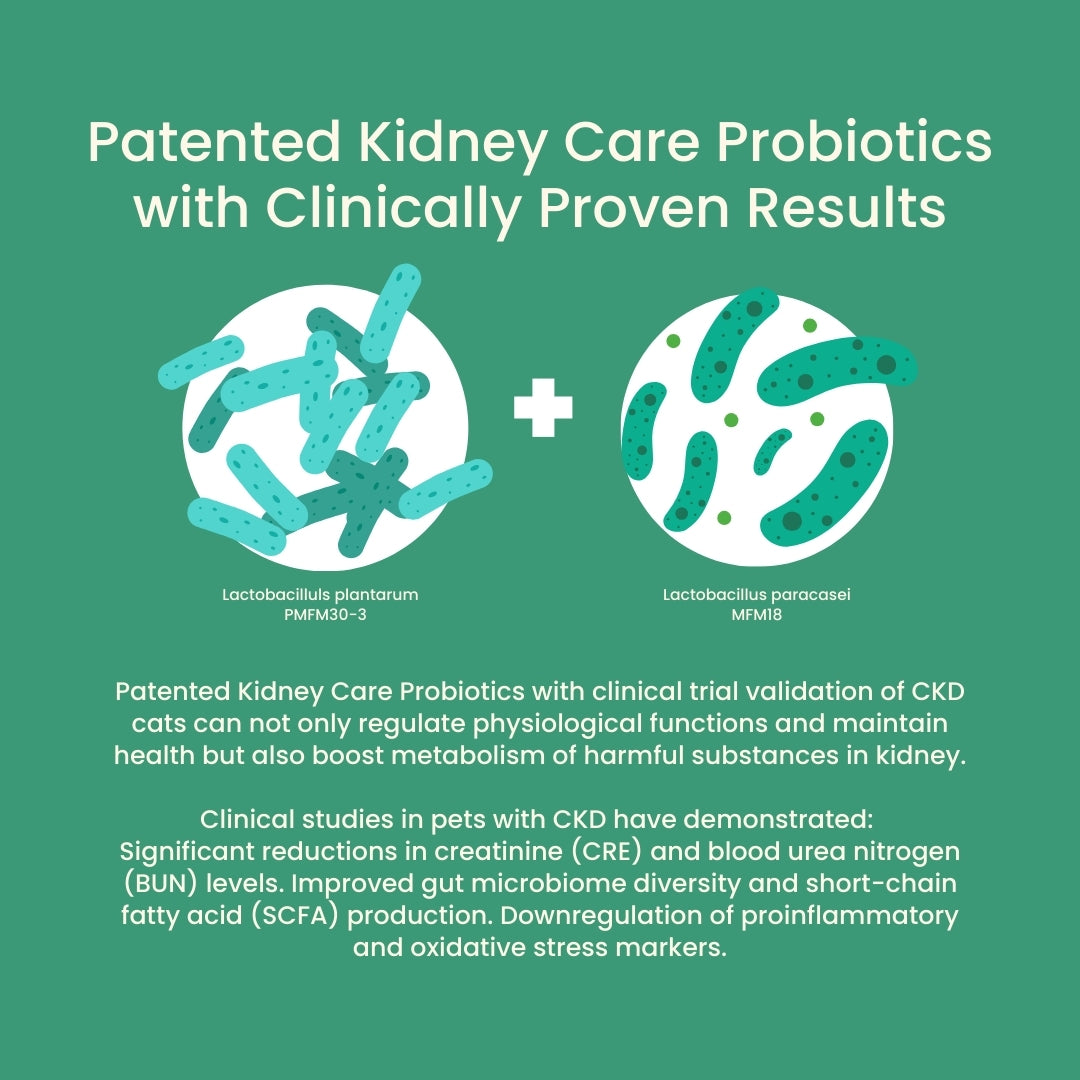 Tuck Kee Pets Renal Boost Kidney Support 60g Box of 30 Sachets