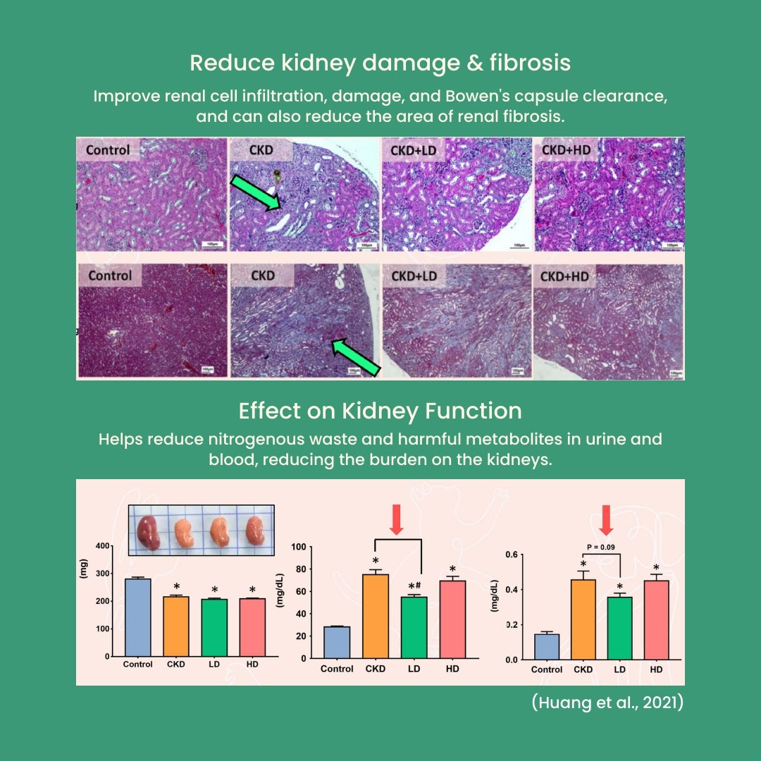 Tuck Kee Pets Renal Boost Kidney Support 60g Box of 30 Sachets