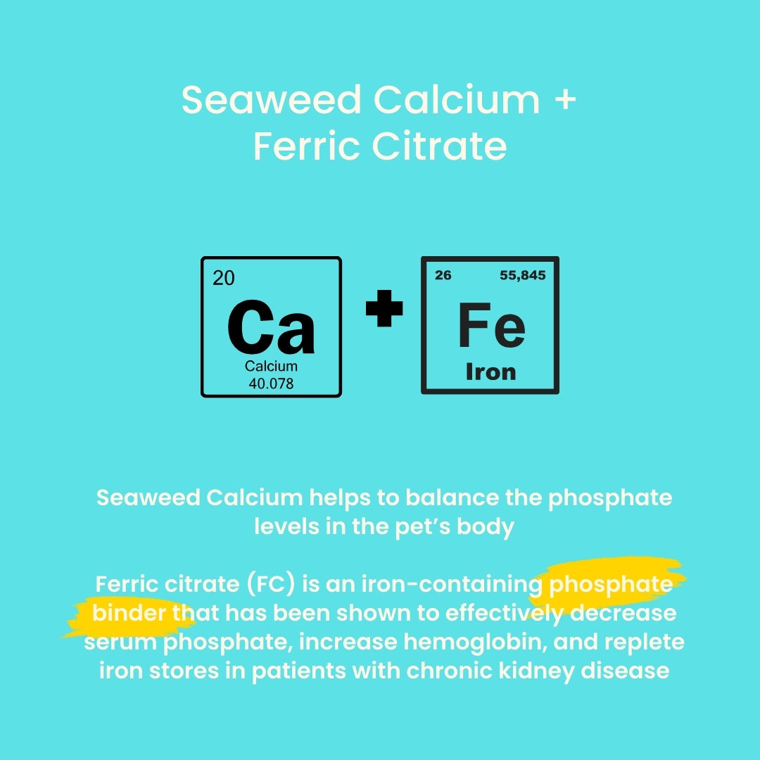 Tuck Kee Pets Renal Boost Kidney Support 60g Box of 30 Sachets