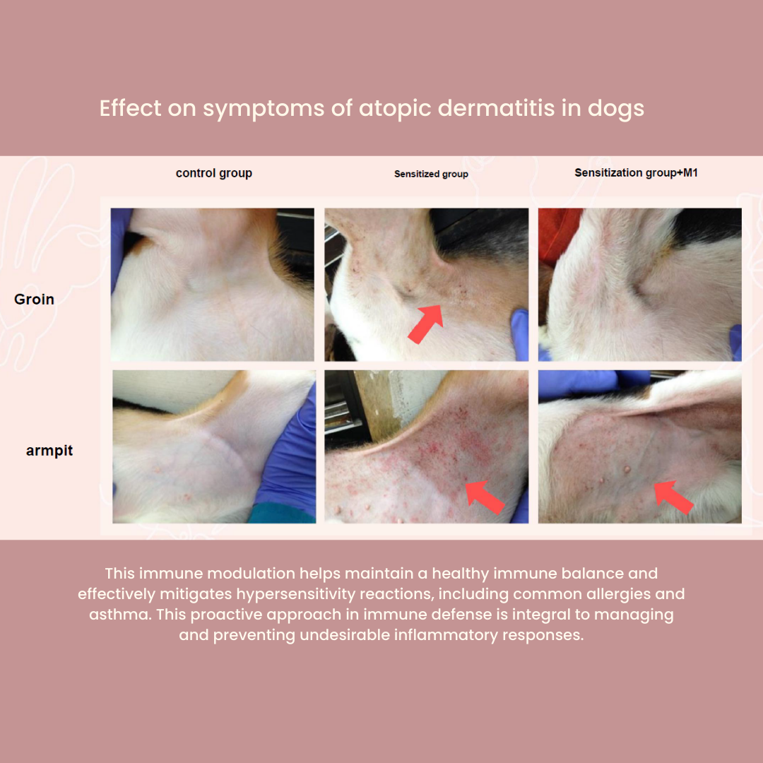 Tuck Kee Pets Glow Up Skin & Coat Supplement With Anti-Allergy Properties 60g Box of 30 Sachets