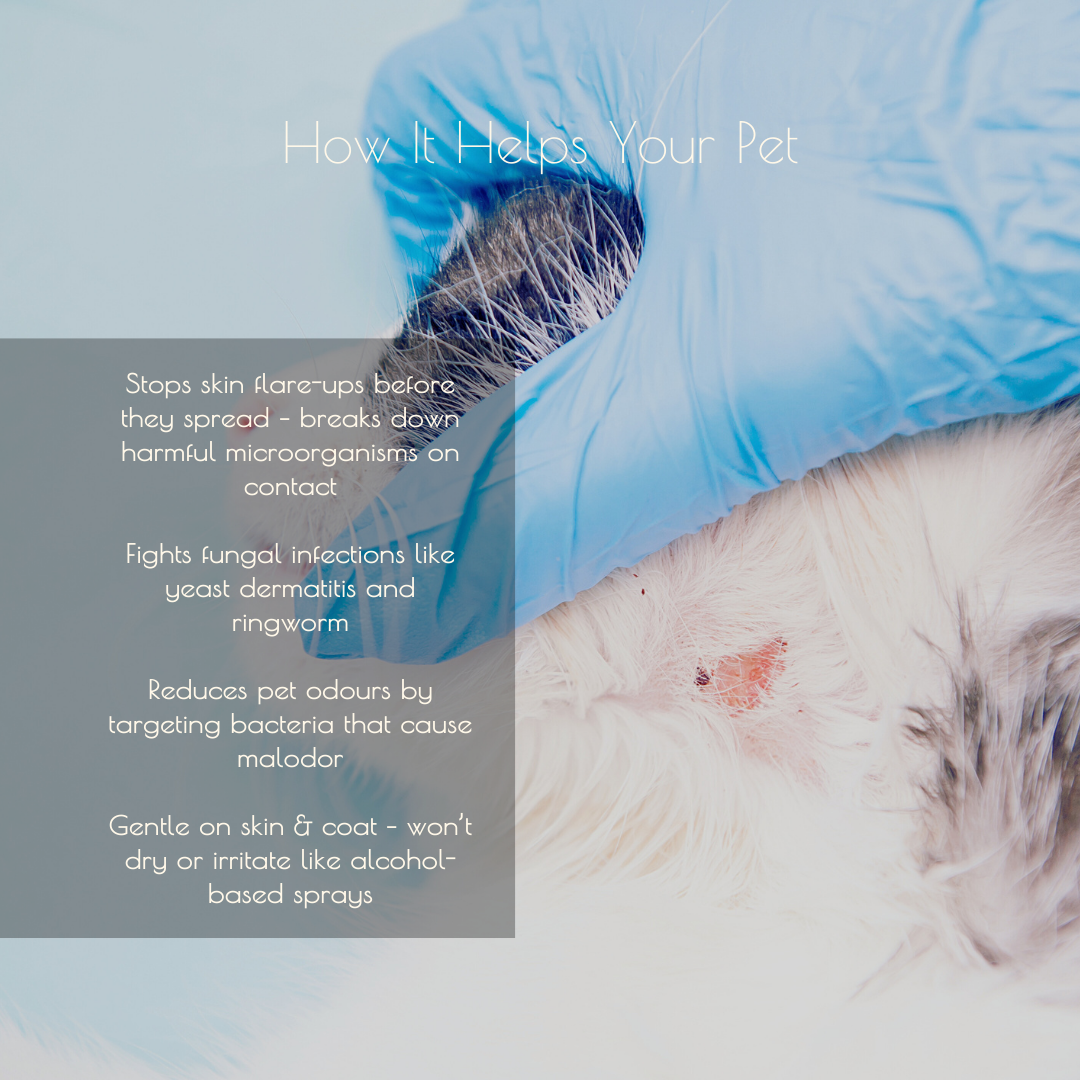 Tuck Kee Pets Hotspot Defense Spray 120ML/480ML