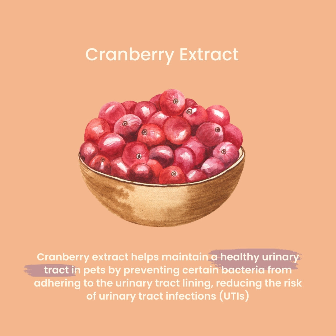 Tuck Kee Pets Renal Boost Kidney Support 60g Box of 30 Sachets