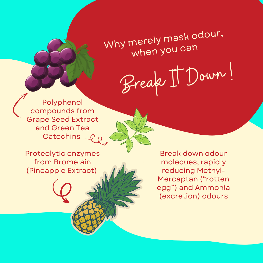 Tuck Kee Pets Very Clean Cleaning Water 350ML/1000ML