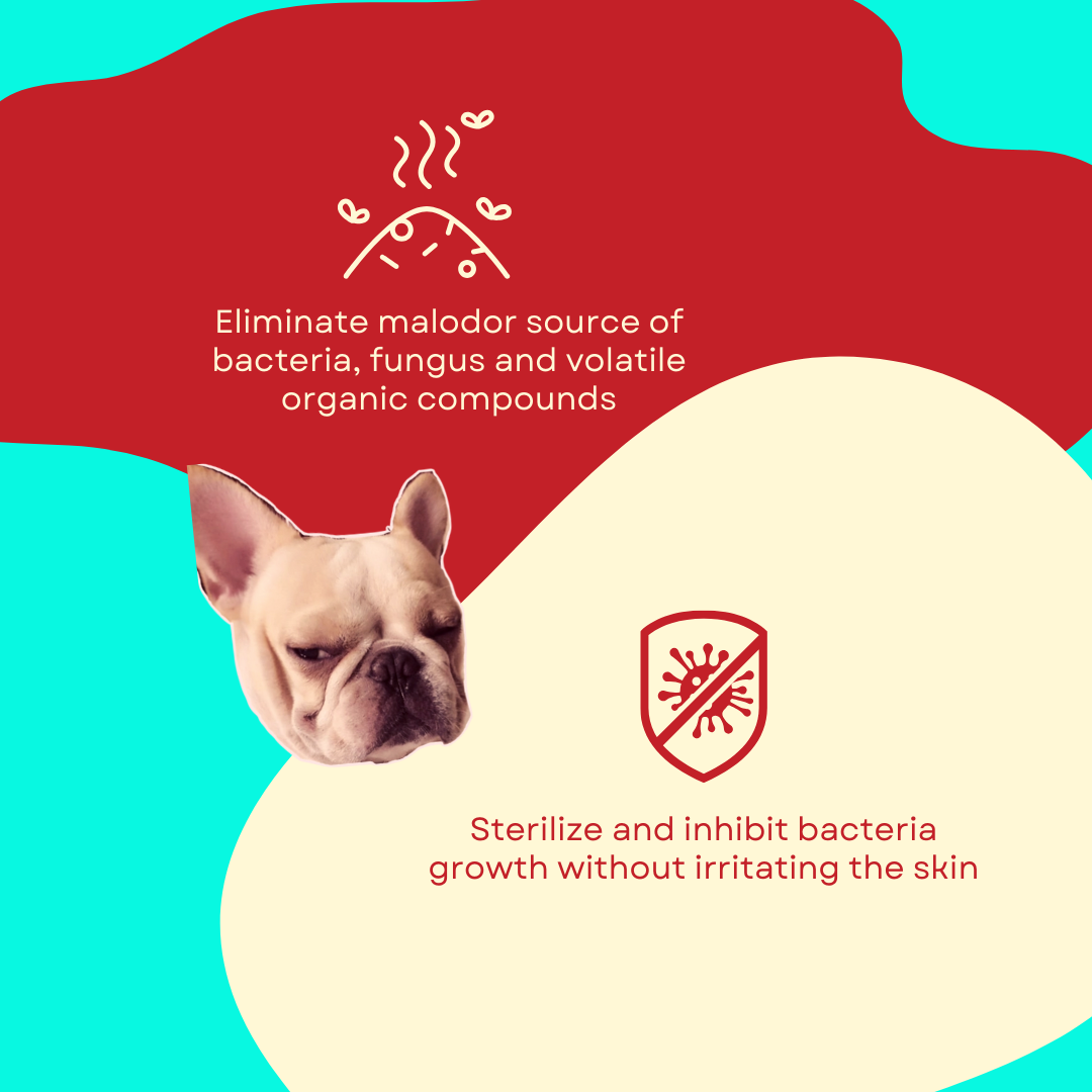 Tuck Kee Pets Very Clean Cleaning Water 350ML/1000ML