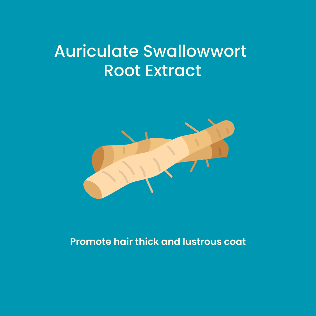 Tuck Kee Pets Glow Up Skin & Coat Supplement With Anti-Allergy Properties 60g Box of 30 Sachets