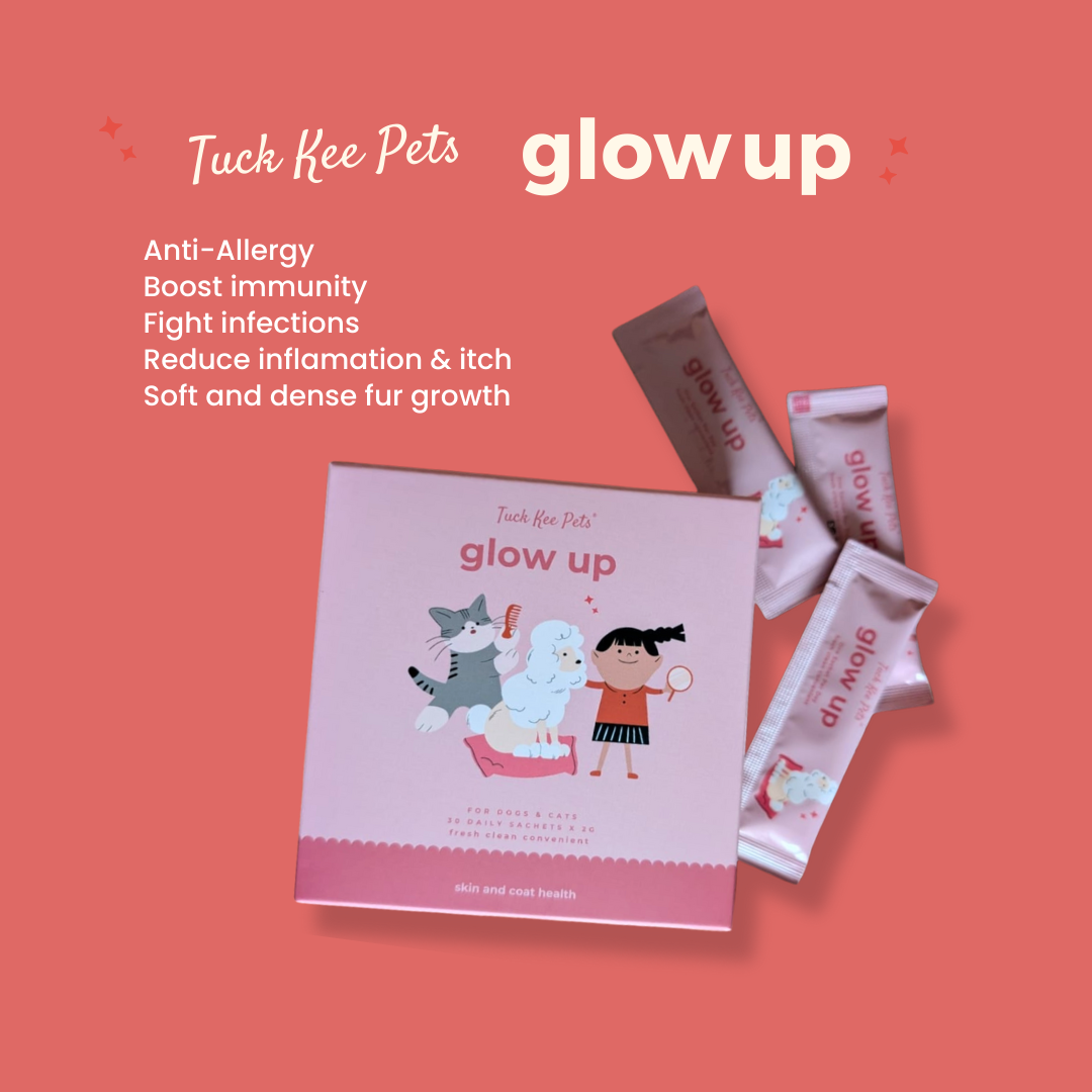 Tuck Kee Pets Glow Up Skin & Coat Supplement With Anti-Allergy Properties 60g Box of 30 Sachets