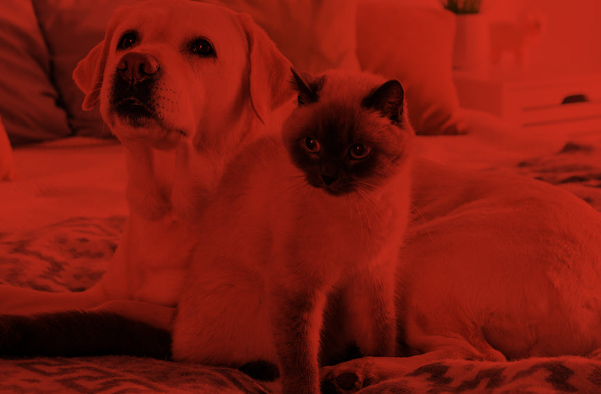 Contact Banner Image