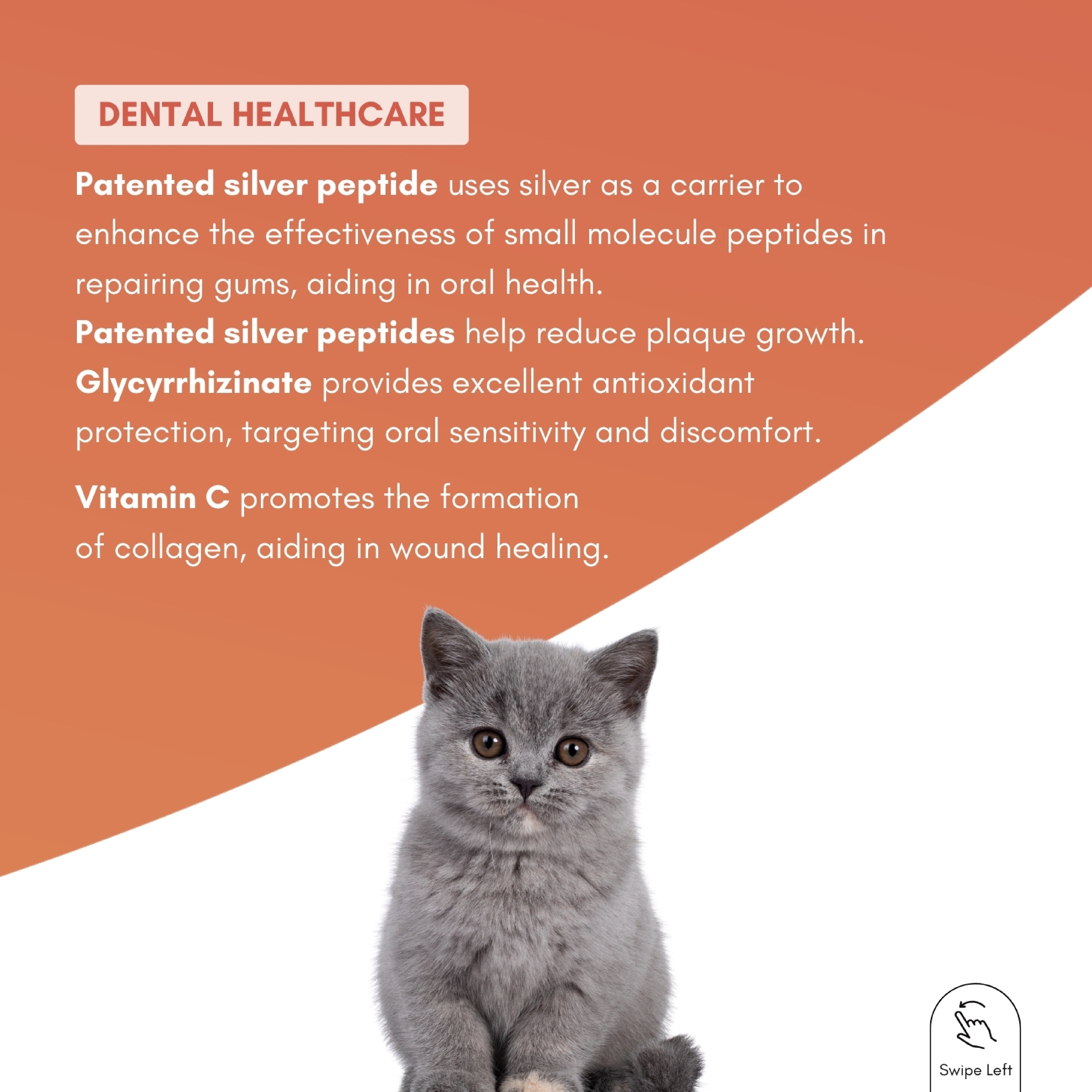 Tuck Kee Pets ORALHEALTH Teeth & Gum Spray 15ML