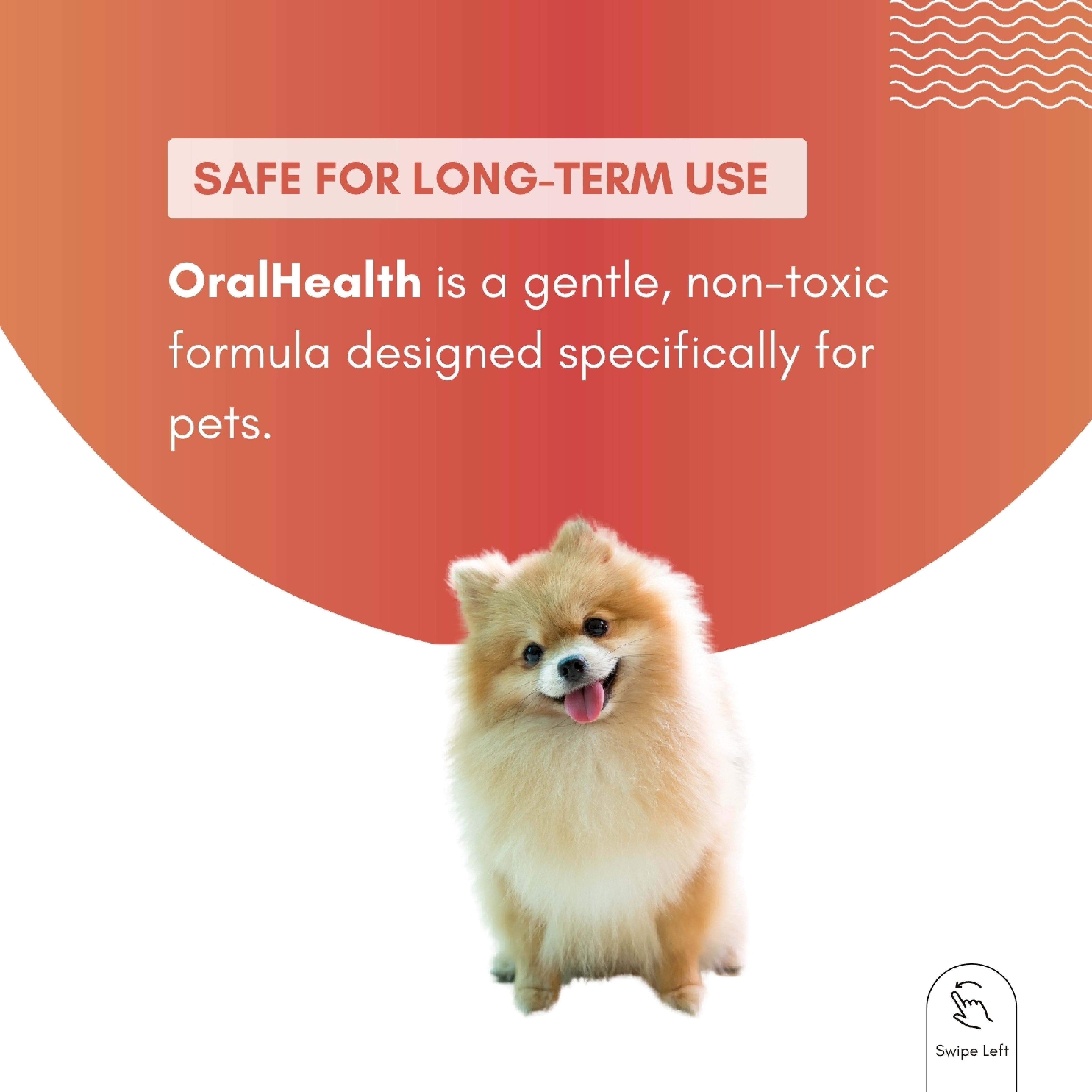 Tuck Kee Pets ORALHEALTH Teeth & Gum Spray 15ML