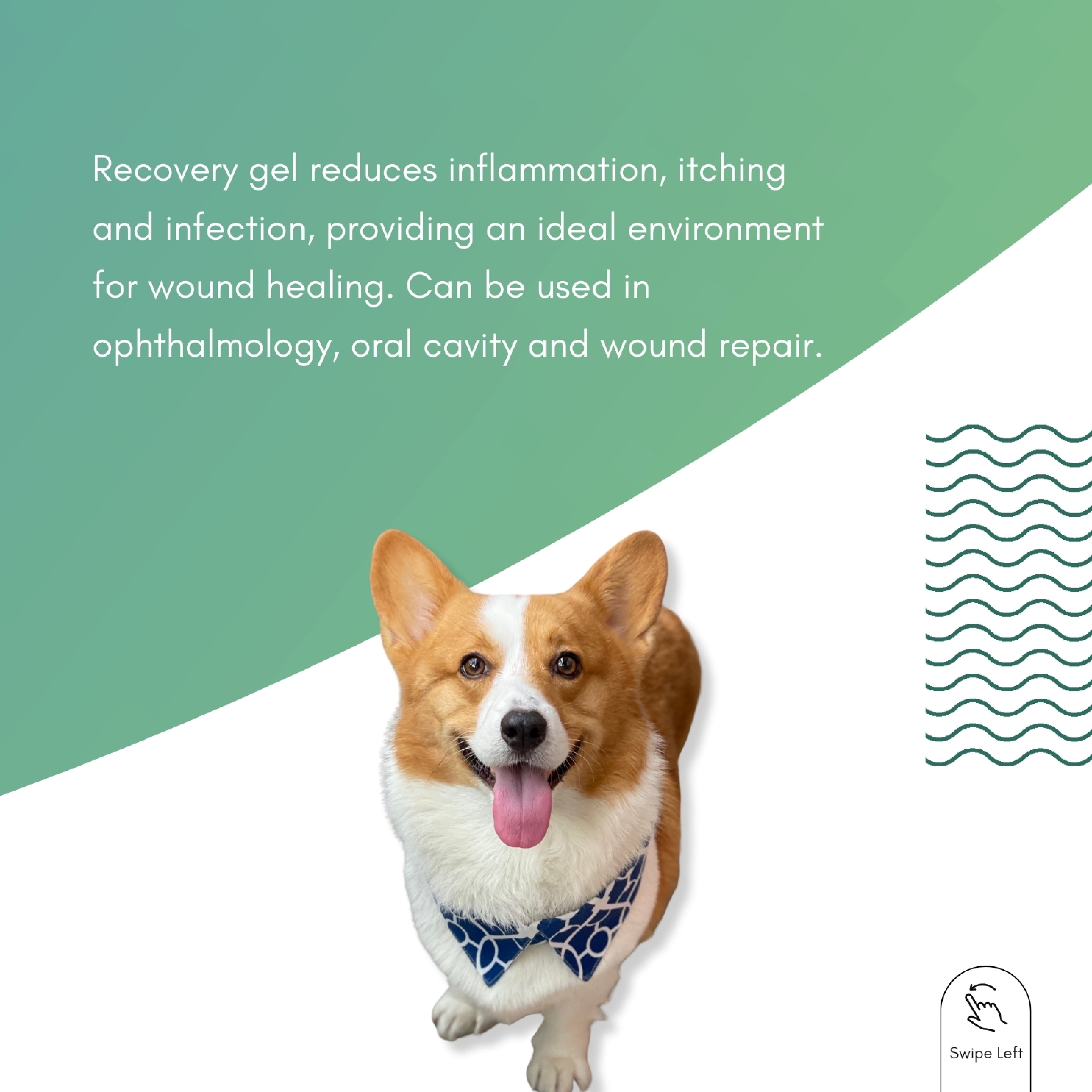 Tuck Kee Pets RECOVERYGEL Skin Repair Gel 12G