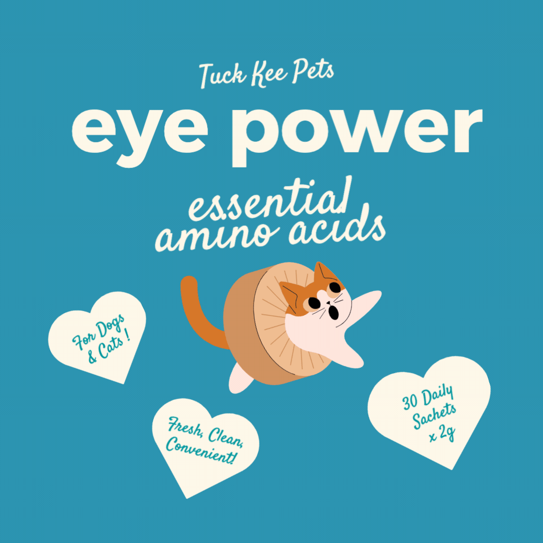 Eye Power Essential Amino Acids 60g Box of 30 sachets