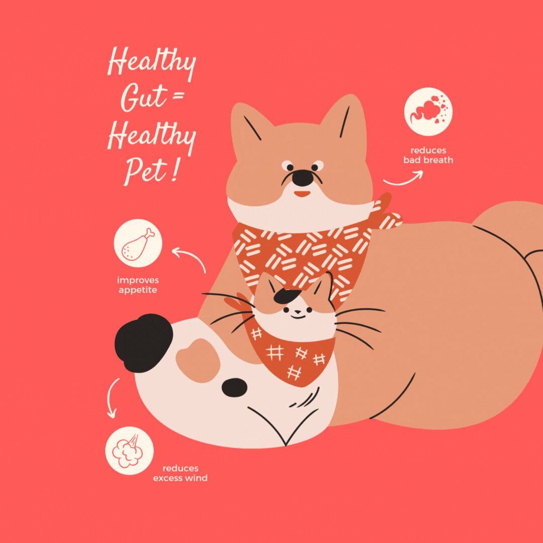 Good Poop Synbiotics 60g Box of 30 Sachets