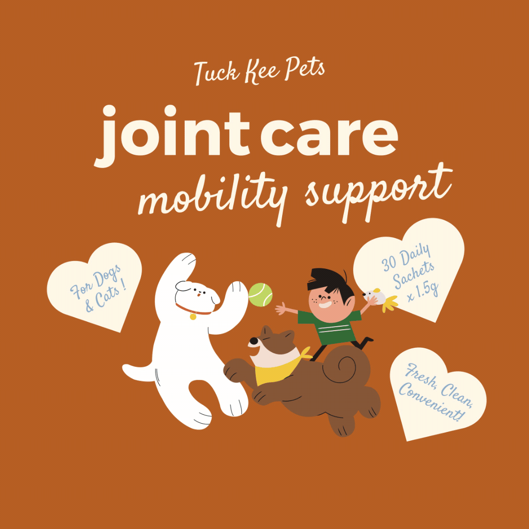 Joint Care 45g Box of 30 Sachets