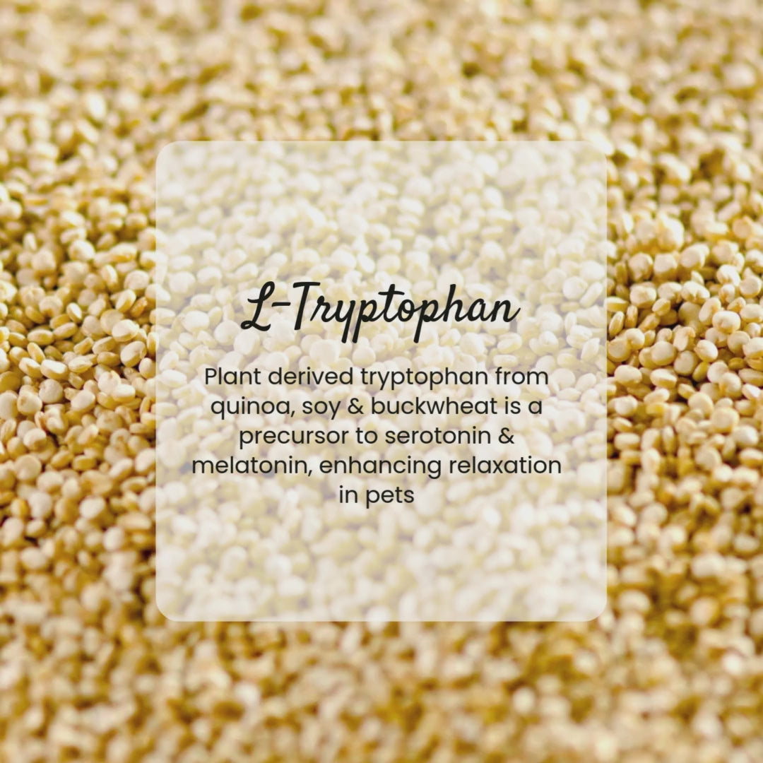 Calm Down 45g Box of 30 Sachets