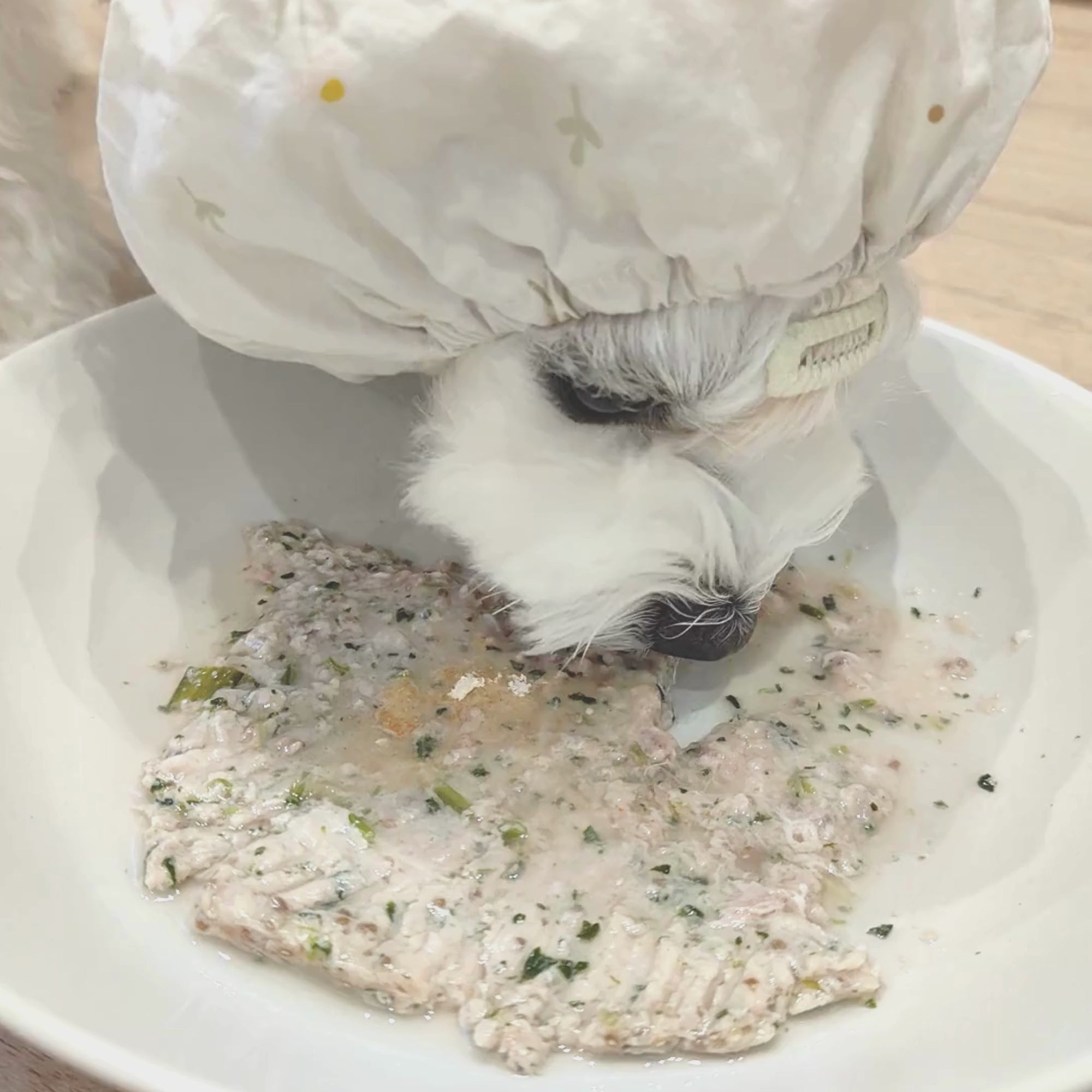 Eye Power Essential Amino Acids 60g Box of 30 sachets