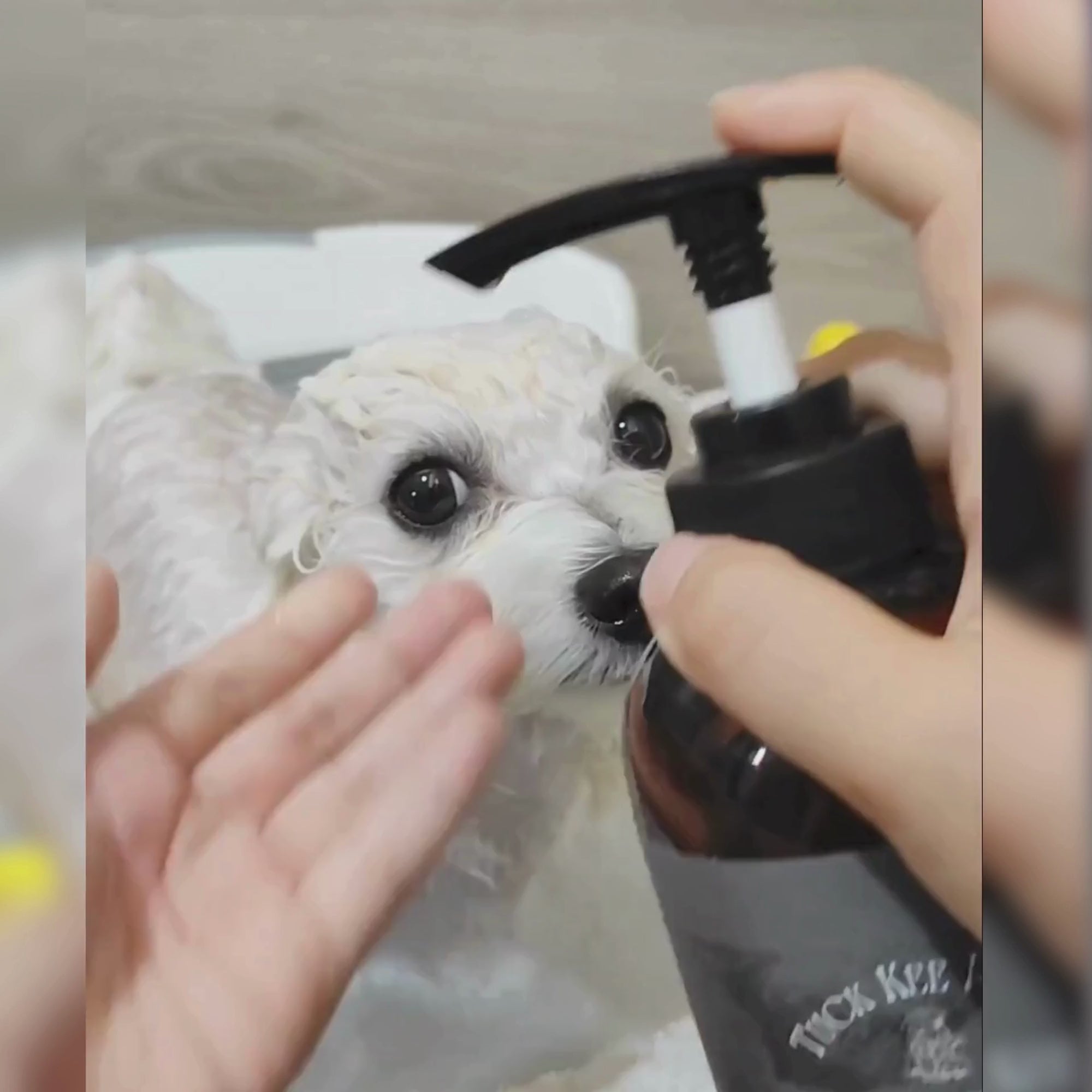 Tuck Kee Pets Soothing Shampoo 500ml