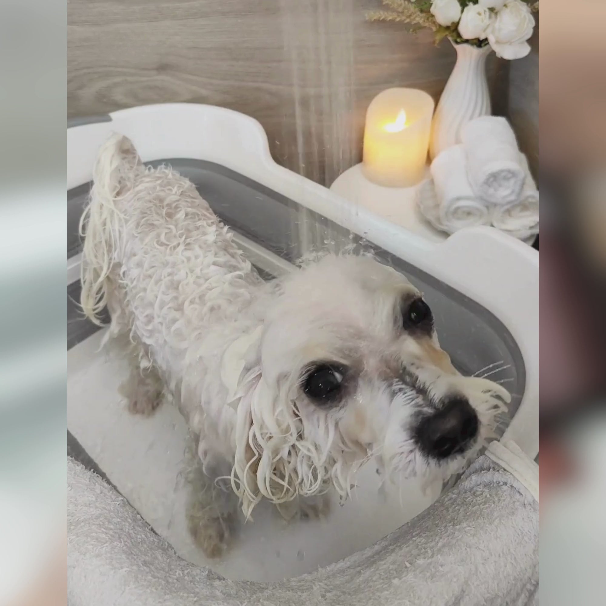 Tuck Kee Pets Instant Detangler 100ML/500ML