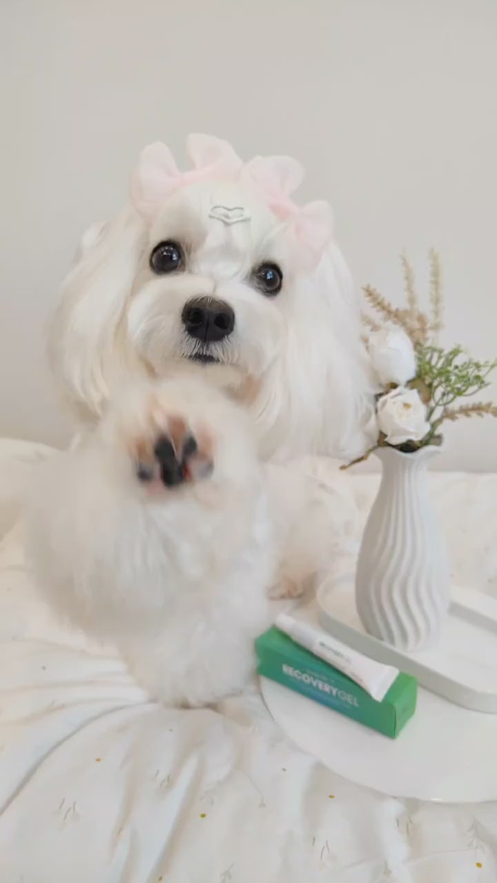 Tuck Kee Pets RECOVERYGEL Skin Repair Gel 12G